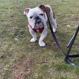 Meet your Posher, Liz